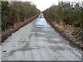 Trackbed of former Midland and South Western Junction Railway near Calmsden