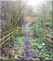 Bridle Path - Cottingley Moor Road