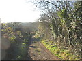 Farm track to Oerddwr