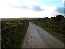 J3422 : Road, near Carrick Little by Rossographer