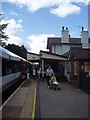 Up platform at Liphook Station