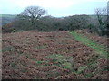 Penstowe Castle near Kilkhampton