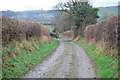 Farm track leading to grazings by Afon Hafren