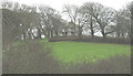 Trees in the parkland around Bryn Teg