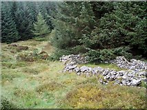 SH9228 : Sheepfold at edge of forest track by Nigel Parrish