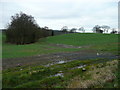 View south of Canwood Farm