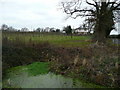 Pond, house and vineyard