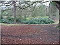 Grounds of The Rookery from Southenay Lane