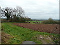 Footpath off Falcon Lane