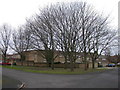 Winter trees on Teversham Drift