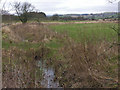 Drained fields near Brynhope farm