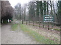 Gateway to Whitwell Wood