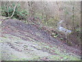 Landslip on steep bank