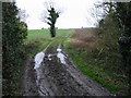 TR2859 : Bridleway from Little Knell Farm by Nick Smith