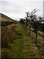 Rossendale Way below Fecit Hill