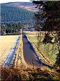 NO3595 : The B976 South Deeside road west of Ballater by Alan Findlay