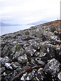 NM9656 : Coastline with Corran ferry crossing in distance by Phil Jones