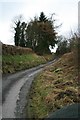 Lane near Llwyn-Madoc