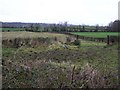 Meekstown Townland