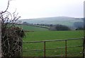 Trengale Wood and the Fowey valley