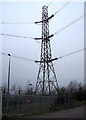 Pylon, Medway power station