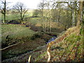 Small Gorge at Rutherend