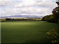 View of Farmland and Mountains near Stracathro, Angus