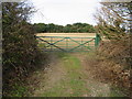 Brown Pudding Plantation beyond the gated field