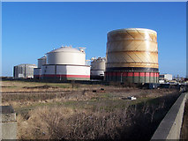 TQ8575 : Gas storage tanks, Isle of Grain by Richard Dorrell