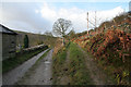 Footpath and Bridleway, Dean Lane, Newsholme Dean