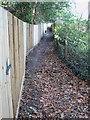 Footpath into Eythorne from Waldershare