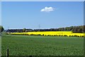 Hatton of Carse Farm and Countryside