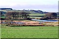 Field next to Loch Ken, Crossmichael