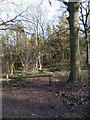 Footpath into Wyre Forest from small car park off B4194