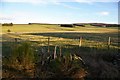 Farmland to the east of Meikle Kilmundie