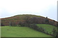 Llwyn Bryn-dinas from the north