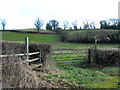 Herefordshire Trail, north of Crow Hill