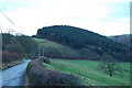 Looking South West to Graig-wen Wood