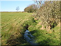 Small stream near Pasture House