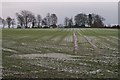 Looking over fields towards Lochbank