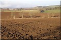 Winter fields at Bardmony