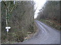 Track to Stockbatch Granary.