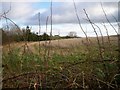 Farmland, Magherydogherty Road, Portadown