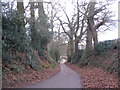 SP3081 : Staircase Lane, towards Allesley by E Gammie