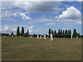 Shurland Meadow, home of Eastchurch CC