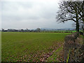 Pastures and distant hills