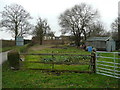 Vegetable garden in Asterley