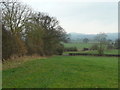 Meadows of the Rea Brook