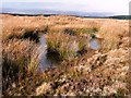 ST2495 : Pond on Mynydd Maen by Graham Horn