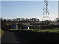 View along Long Lane to Haynes Farm